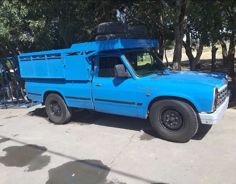 تجربه و حرفه‌ای بودن
